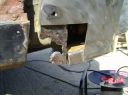 Filename=HPIM2461.JPG
Filesize=395KiB
Dimensions=2047x1525
Date added=May 17, 2012 HPIM2461.JPG